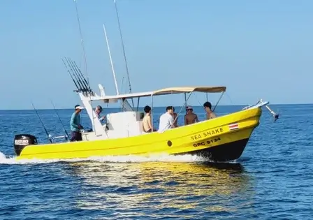 Sea snake boat