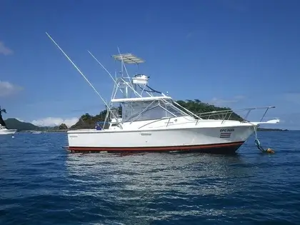 tuna fish boat