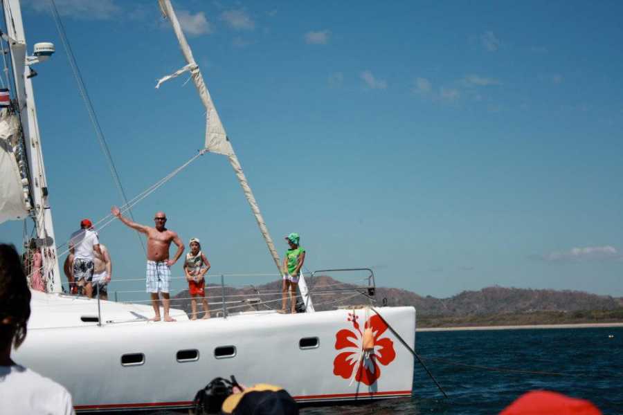 hibiscus catamaran