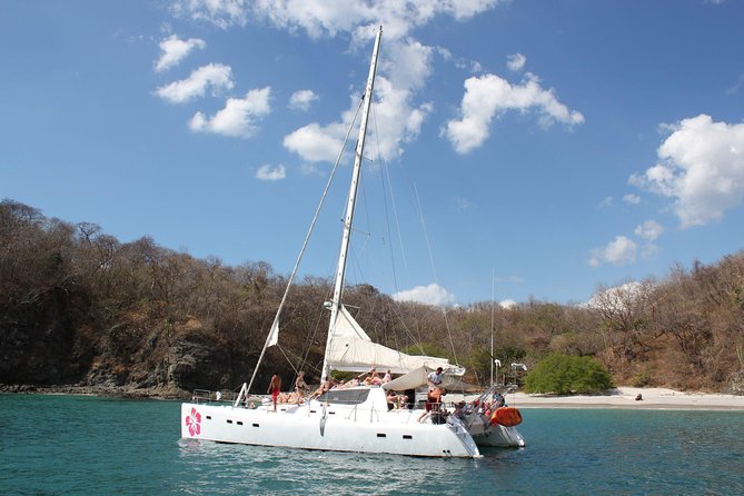 hibiscus catamaran