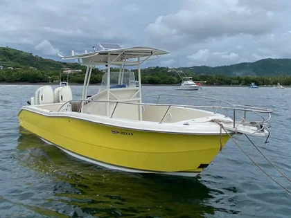 sea pro boat