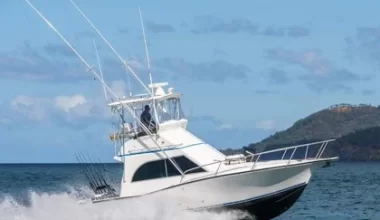 papi chulo boat