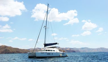 pura vida catamaran